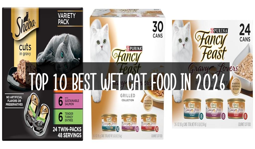 Top 10 Best Wet Cat Food in 2026