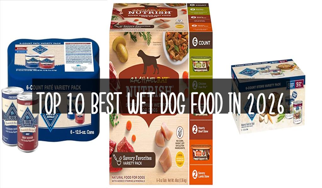 Top 10 Best Wet Dog Food in 2026